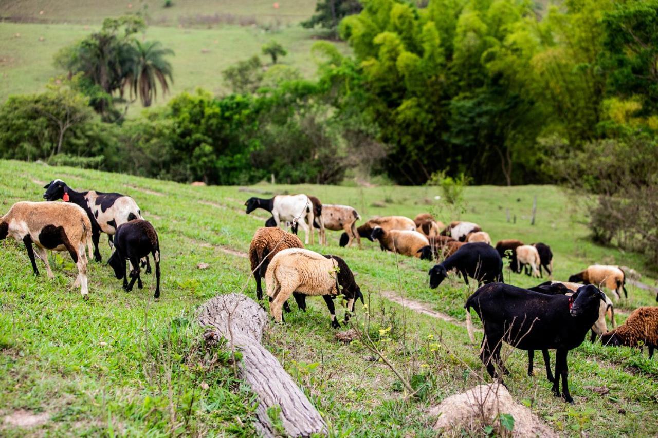 Hotel Fazenda Horizonte Belo Brumadinho Kültér fotó