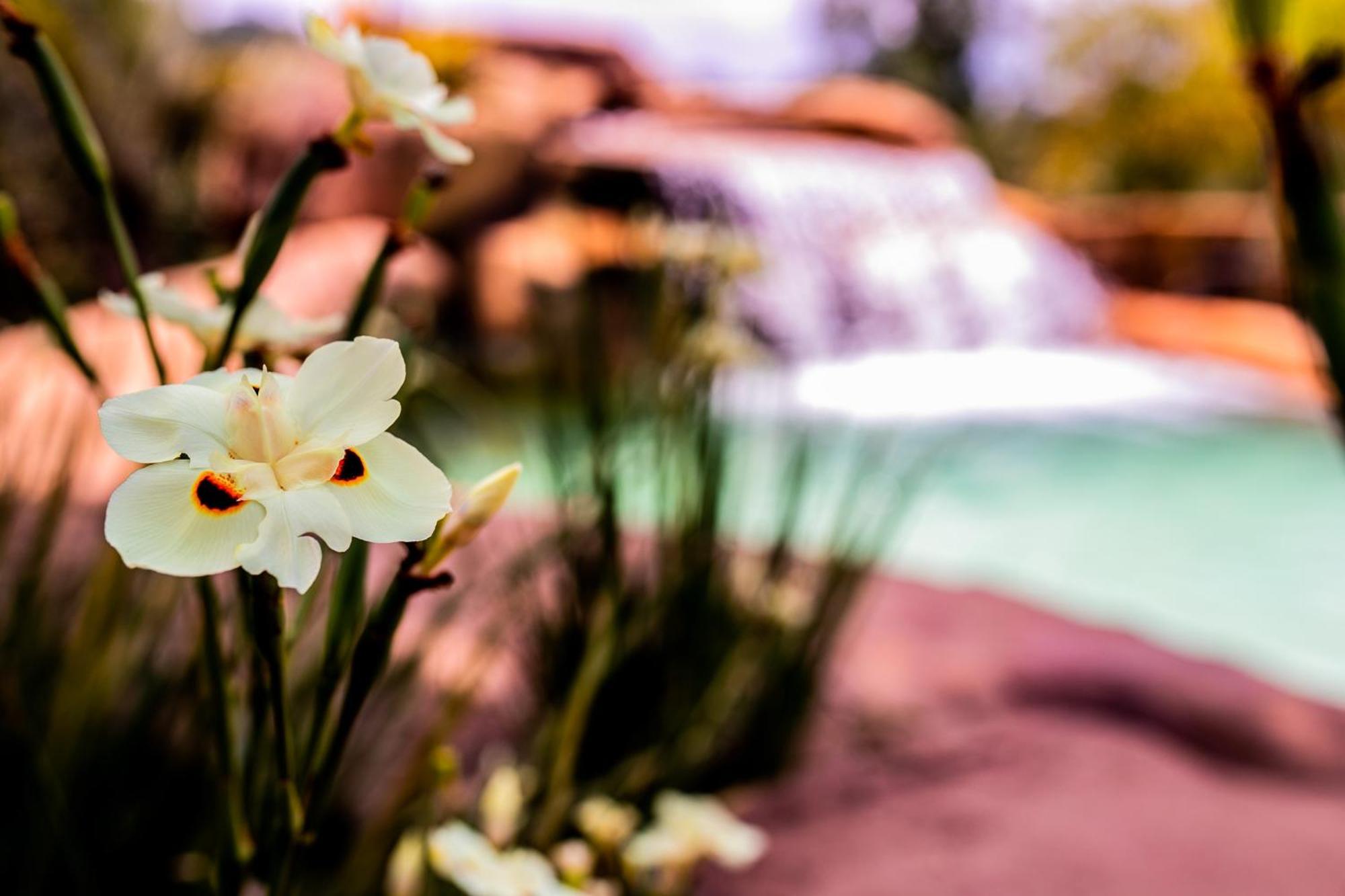 Hotel Fazenda Horizonte Belo Brumadinho Kültér fotó